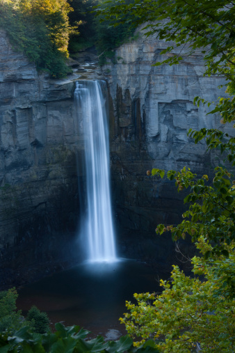 Taughannock water fall hide in the tree