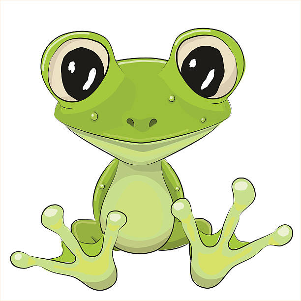 Cartoon Frog Cute Frog isolated on a white background smirk stock illustrations