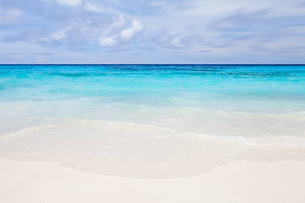 istock Beautiful clean beach and nice sea water 488143432