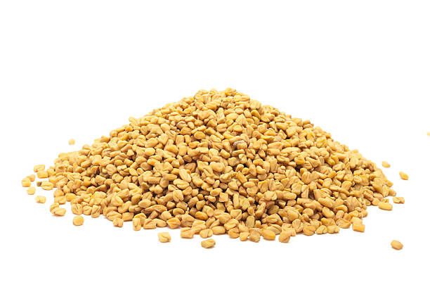 istock Pile of organic Fenugreek 488143894