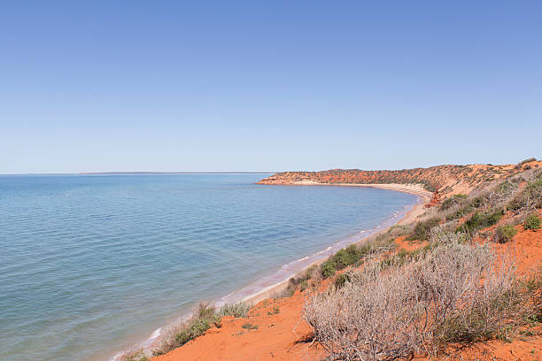 istock Point at Francois Peron National Park Shark Bay 488144316