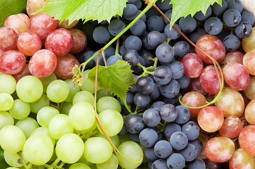 Bunch of colorful grapes with leaves