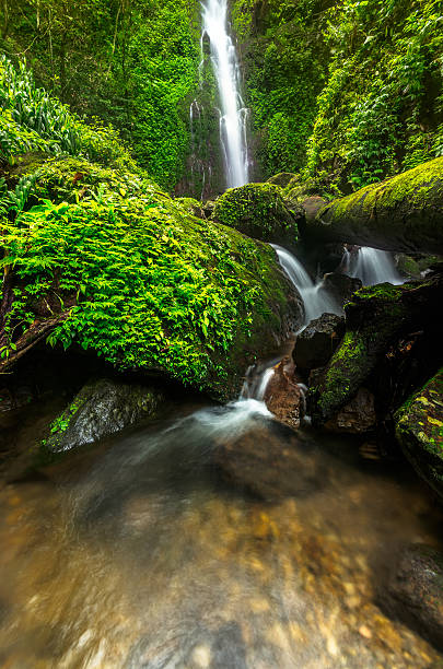istock Phasanngon Waterfall in Nakhon Nayok, Thailand. 488145774