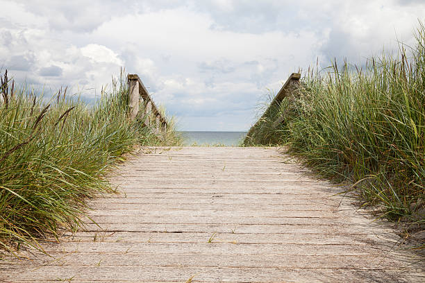 istock Germany, Schleswig-Holstein, wooden boradwalk 488146648