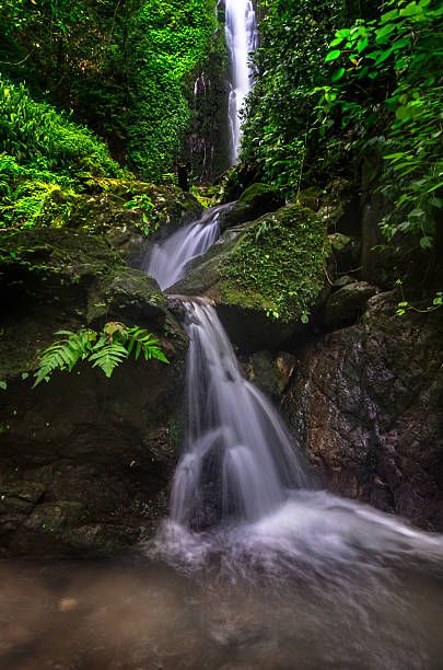 istock Phasanngon Waterfall in Nakhon Nayok, Thailand. 488146716