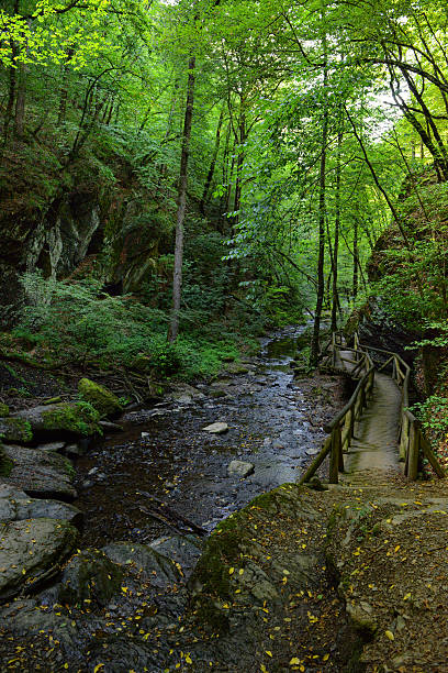 istock Ehrbach Canyon Stream at Brodenbach (Mosel River) 488148130