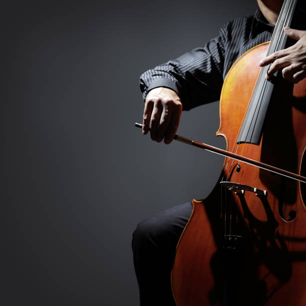 pemain cello atau pemain cello tampil - symphony orchestra potret stok, foto, & gambar bebas royalti