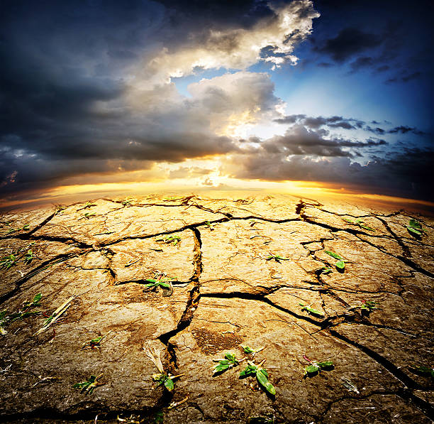 istock Dried desert land with sprouts 488150388