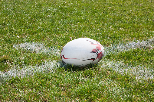 Rugby ball lying on the green grass on lineRugby ball lying on the green grass on line
