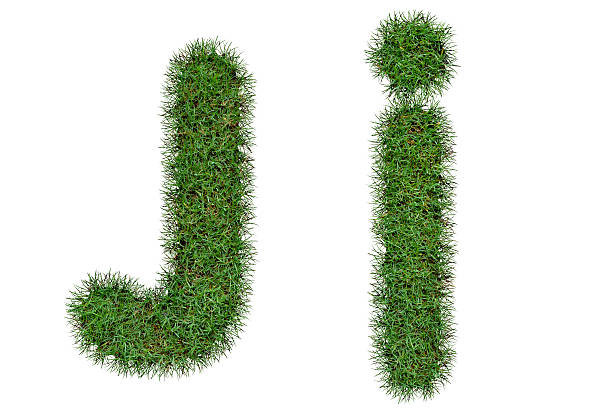 istock Grass Letter J,j  isolated on white background 488152026