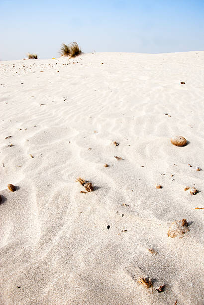 istock white sand in the desert, blue sky and some plant 488152342