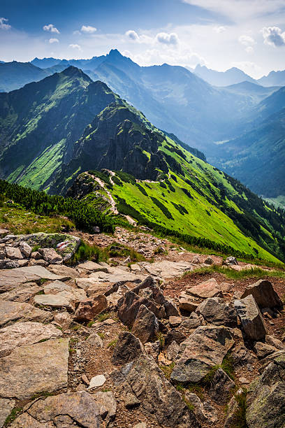 istock Trail in the Tatras Mountains at summer 488152388