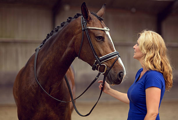 istock woman looking at horse 488152450