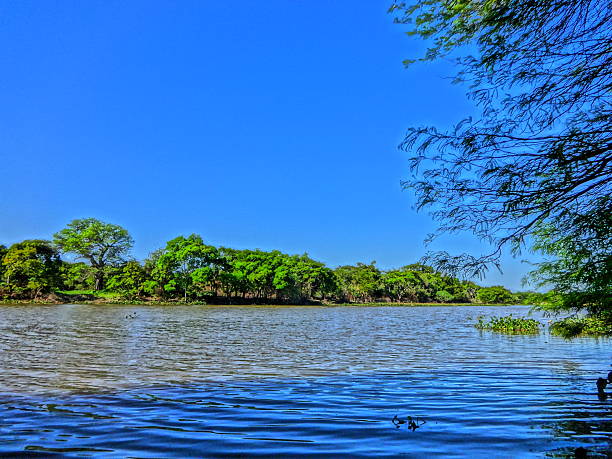 istock tranquility on the coast of the river 488153862
