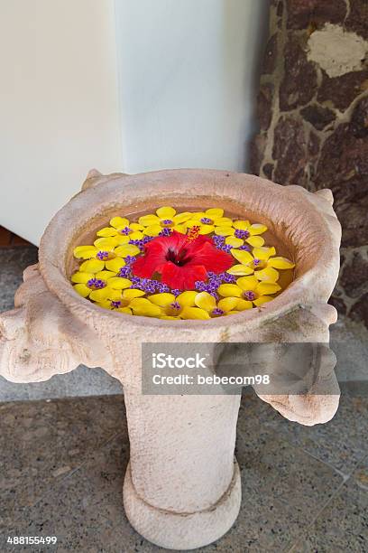 Allamanda Flower Frame Stock Photo - Download Image Now - Allamanda, At The Edge Of, Beauty