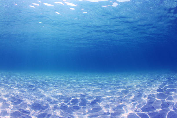 istock Underwater Background in Sea 488155785