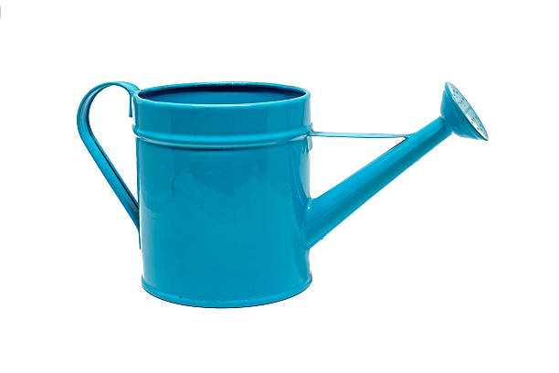 istock Blue watering can isolated on a white background 488156860
