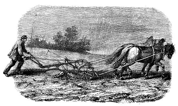 istock Antique illustration of farmer with plough 488157402