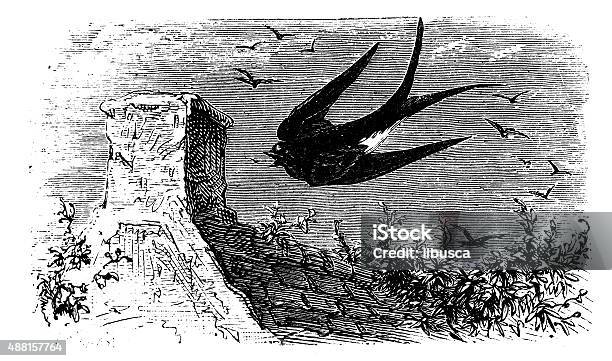 Antique Illustration Of Swallow Flying Stock Illustration - Download Image Now - 19th Century Style, 2015, Agriculture