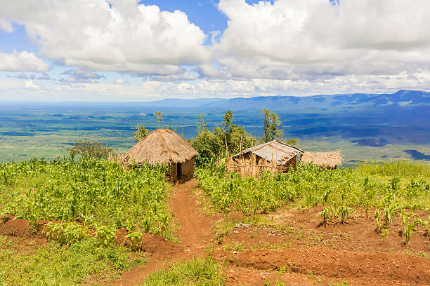 istock Rural landscape in Tanzania 488158126