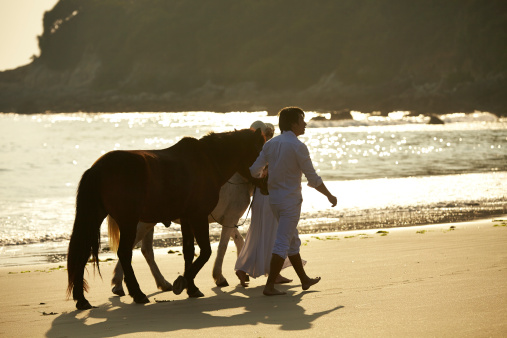 a couple of Chinese walking horses on beach at sunset
