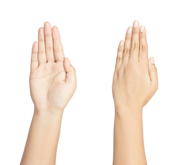 100,100+ Palm Of Hand Woman Stock Photos, Pictures & Royalty-Free Images - iStock | Palm of hand woman isolated, Palm of hand woman up close