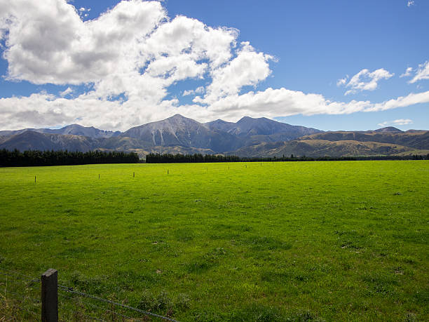 istock Springfield, New Zealand 488160255