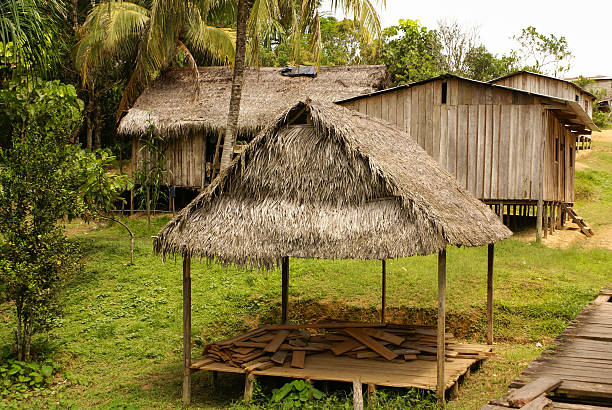 istock Peru, Peruvian Amazonas landscape. The photo present typical  home. 488175573