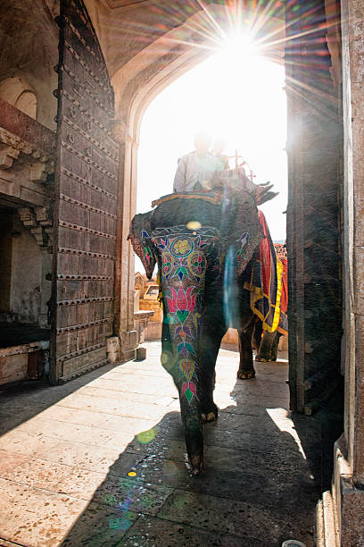 istock Elephant entering Amber Fort with tourist 488175789