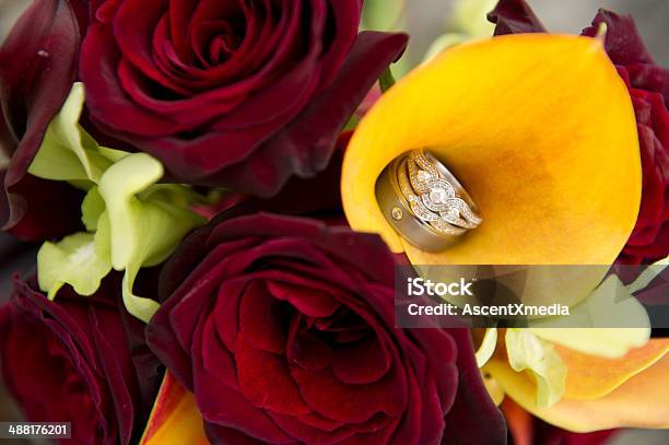 Anillos De Boda Foto de stock y más banco de imágenes de Alianza - Anillo - Alianza - Anillo, Amor - Sentimiento, Anillo de compromiso