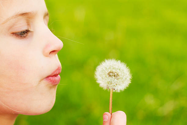 istock Little Girl with Dandelion 488176377
