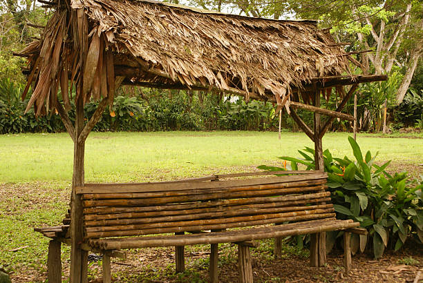 istock Peru, Peruvian Amazonas landscape. The photo present typical in 488176489