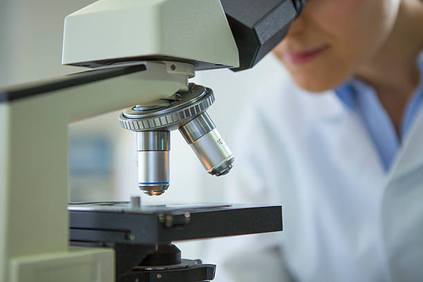 scientist looking a microscopio - research clean room laboratory genetic modification fotografías e imágenes de stock