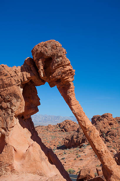 istock Elephant Rock Photographed at Valley of Fire State Park 488178341