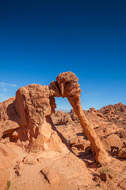 istock Elephant Rock Photographed at Valley of Fire State Park 488178343