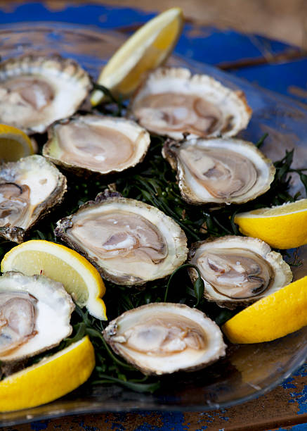 Oysters stock photo