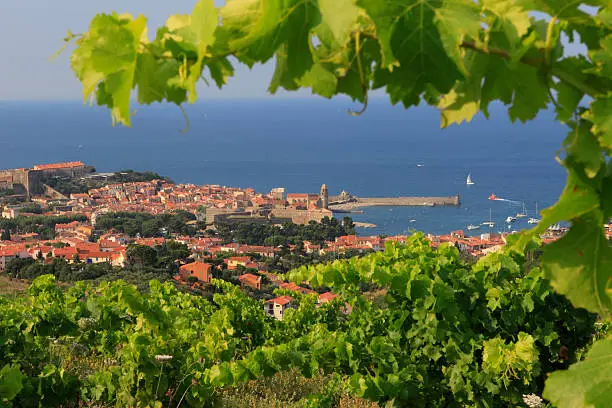 Photo of Collioure - France, Europe