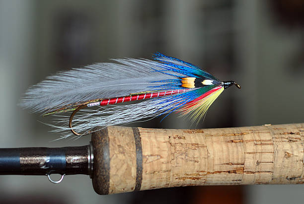 Atlantic Salmon and trout streamer fly called "The Pirate" stock photo