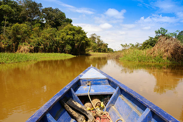istock On the way of going fishing in Amazon jungle river, 488206877