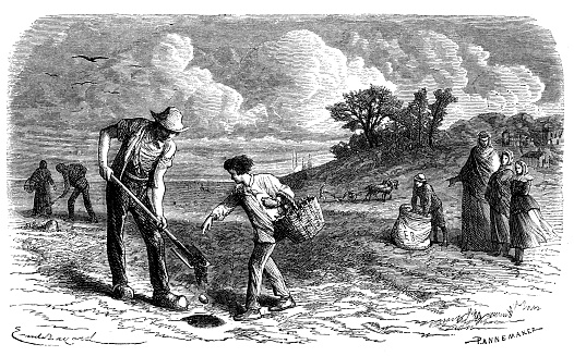 Antique illustration of farmers working