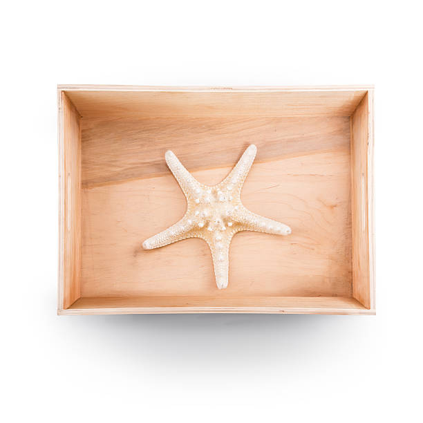 istock Top view of  wooden box. Starfish inside 488210298