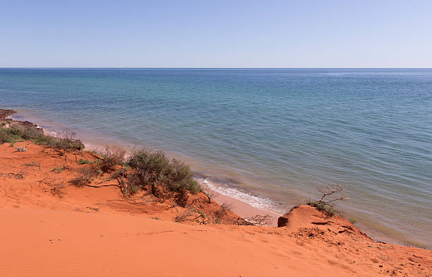 istock Red Sandy Beach at Shark Bay Western Australia 488213114