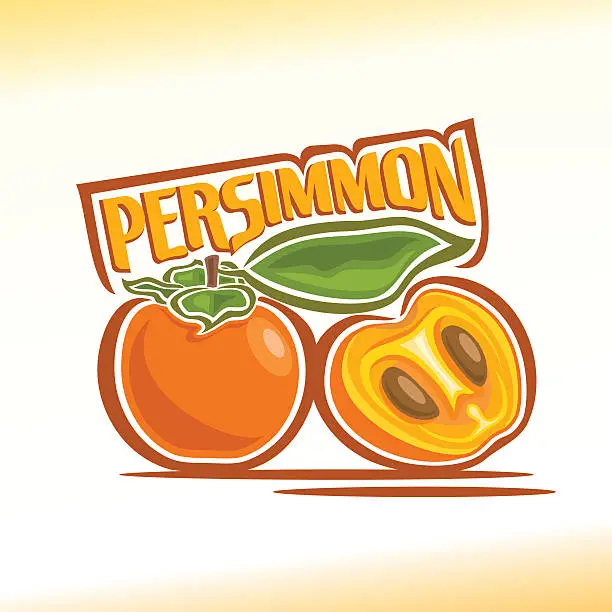 Vector illustration of Vector illustration on the theme of  persimmon