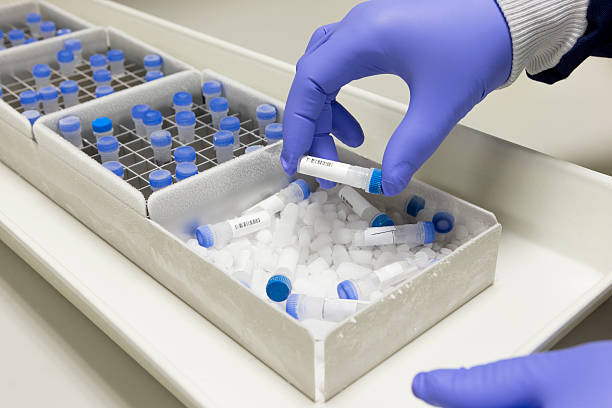 Test Tube Specimen Tubes being labelled and handled in a laboratory. No faces seen, close up of hand wearing a blue rubber protective glove holding a mini test tube sample. Frozen samples are stored in ice and frost can be seen on the container. specimen holder stock pictures, royalty-free photos & images