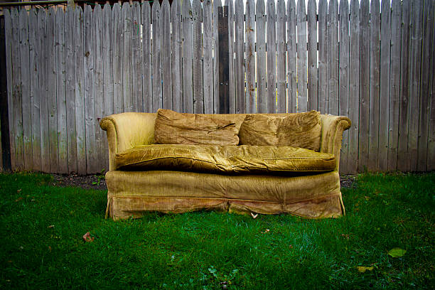 Worn yellow vintage couch outside in yard on grass stock photo
