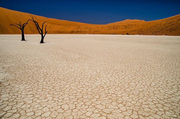 the dead vlei - namibia sand dune namib desert desert zdjęcia i obrazy z banku zdjęć