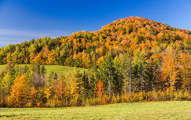 istock Falls foliage in Vermont mountain. 488217544