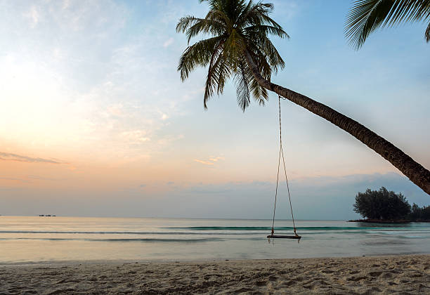 istock Seesaw on a palm tree in the dawn 488218640