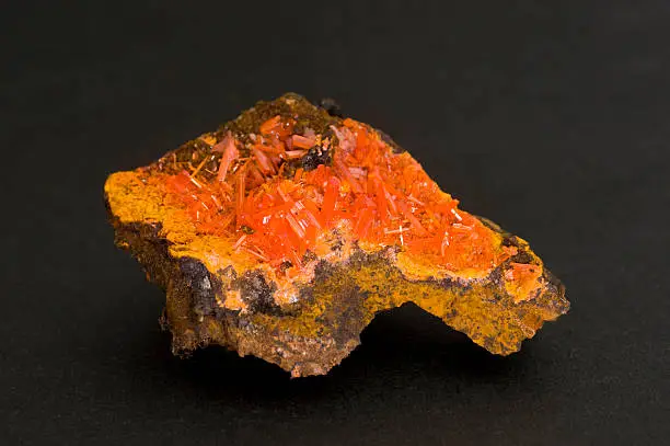 Photo of Museum mineral series: Crocoite (lead chromate). 4.4cm across.