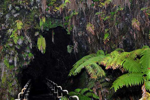 istock Big Island Thurston Lava Tube 488220789